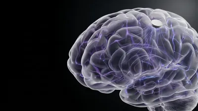 Neuralink: первая pre-IPO сделка Binaryx