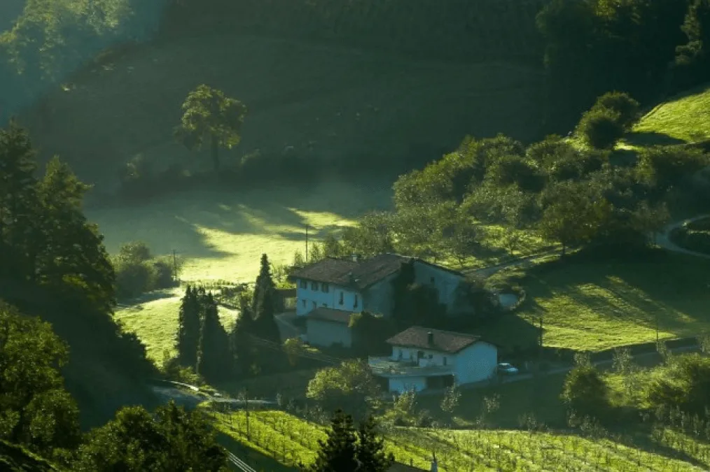 Spanish Rural Renaissance