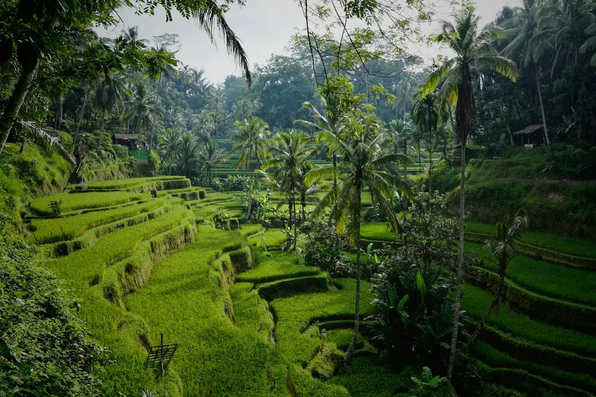 Bali, Indonesia: Island Paradise Open for Foreign Capital